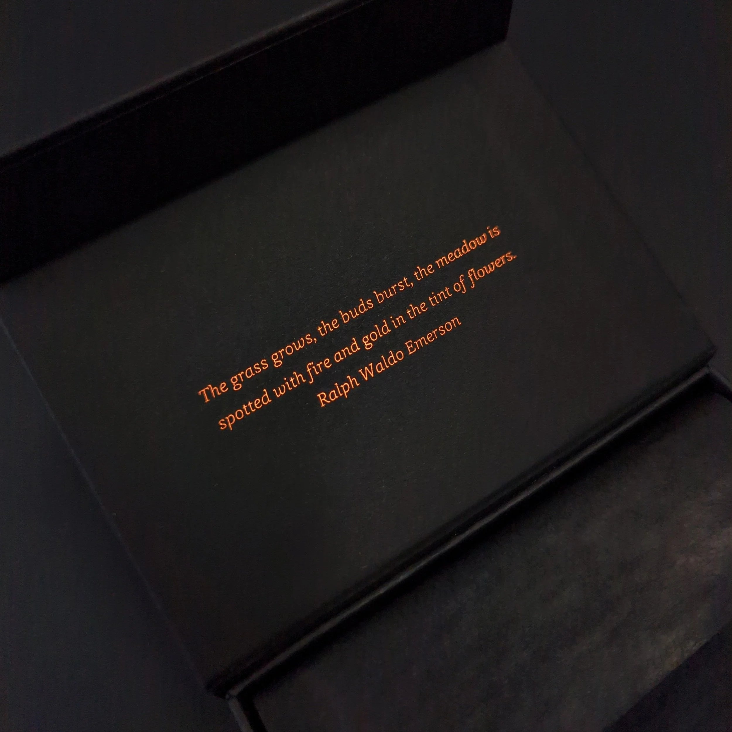 Xmas Limited Edition - Raspberry Vanilla Bean | Spiced Rum & Raisin | Hazelnut Gianduja