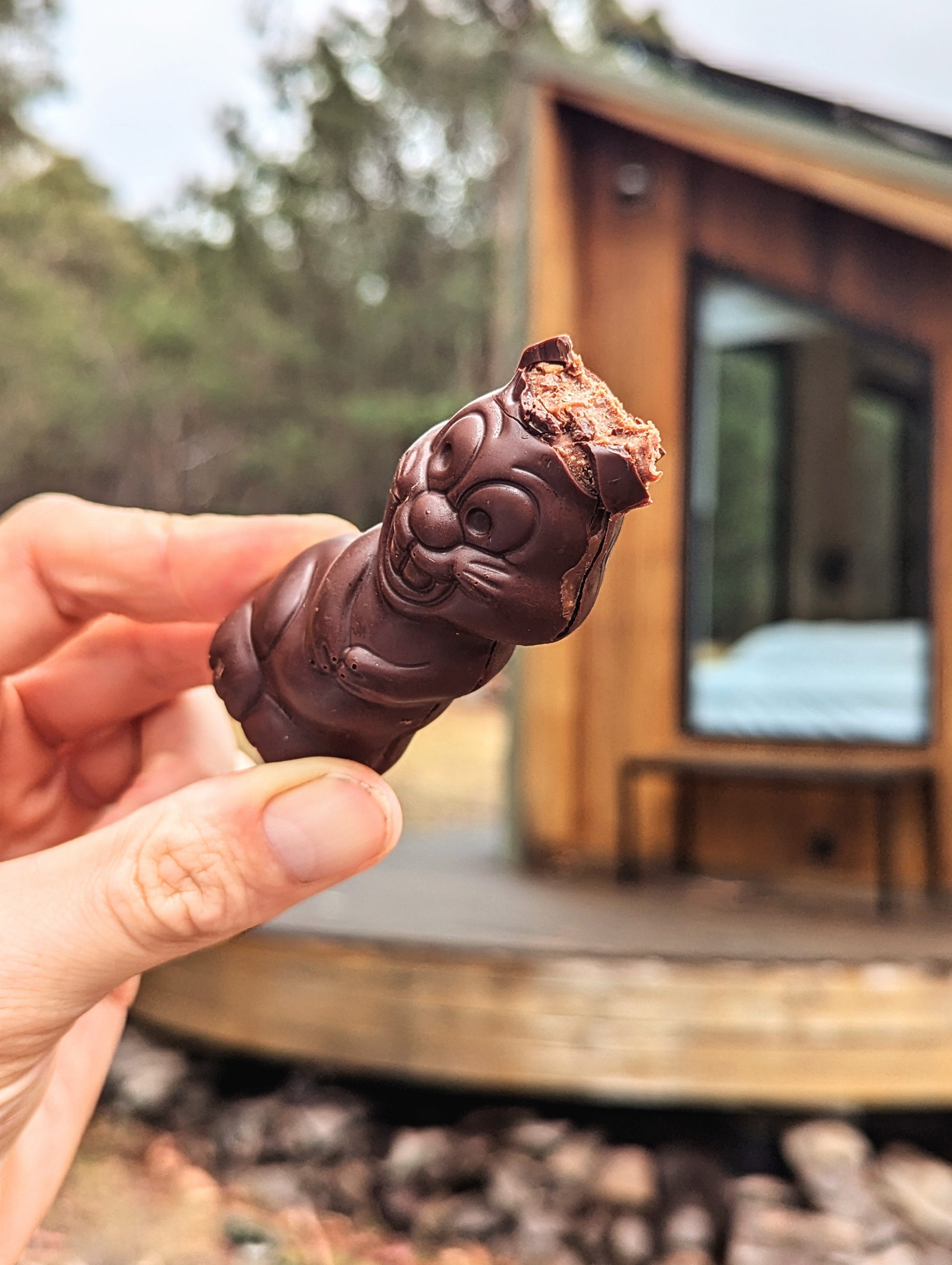 Ru Ru Rabbit - Hazelnut Bunny x 2 (Org. Vg. Gf.)