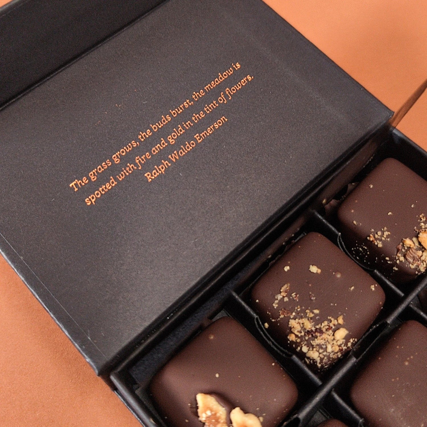 Chocolate Coated Treats