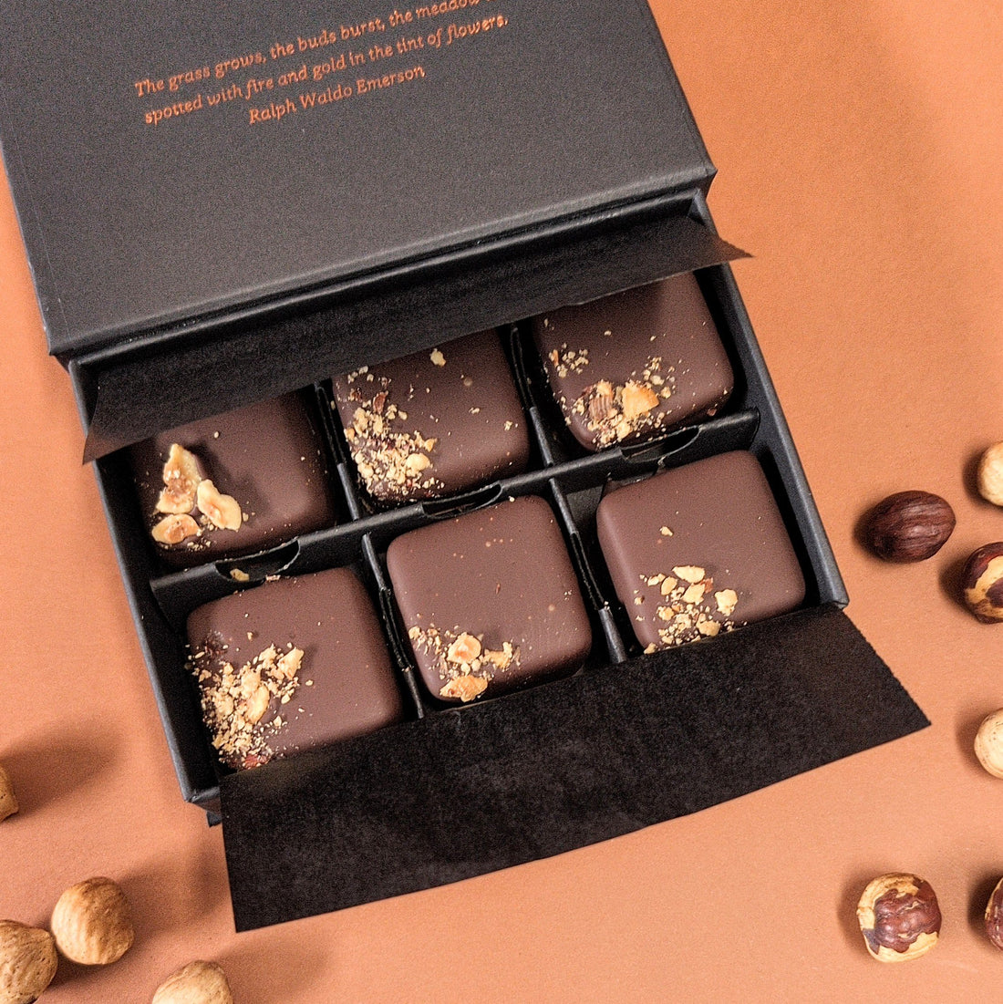 Chocolate Gift Box - Hazelnut Gianduja (Org. Vg. Gf.)