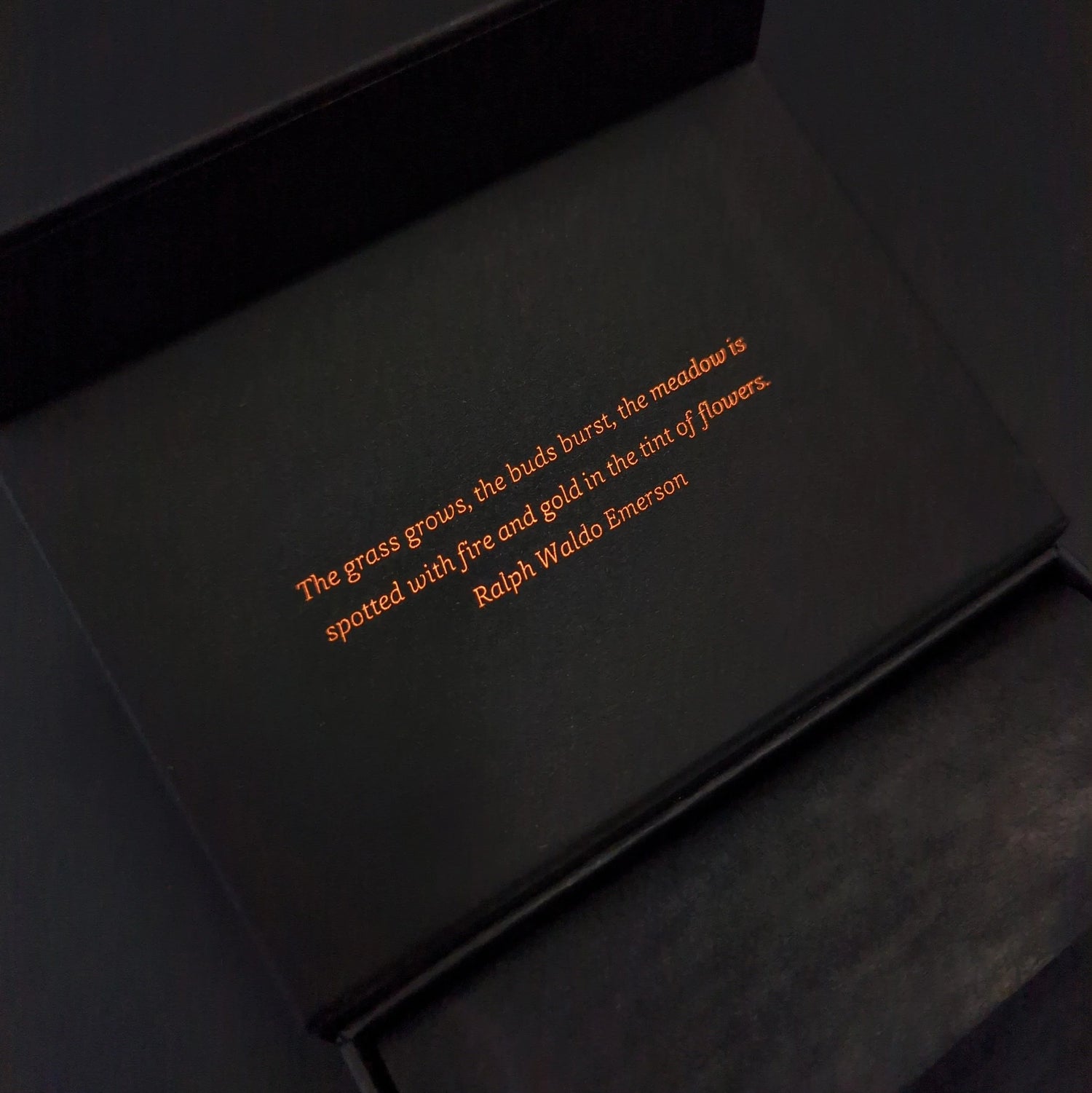 Xmas Limited Edition - Raspberry Vanilla Bean | Spiced Rum &amp; Raisin | Hazelnut Gianduja