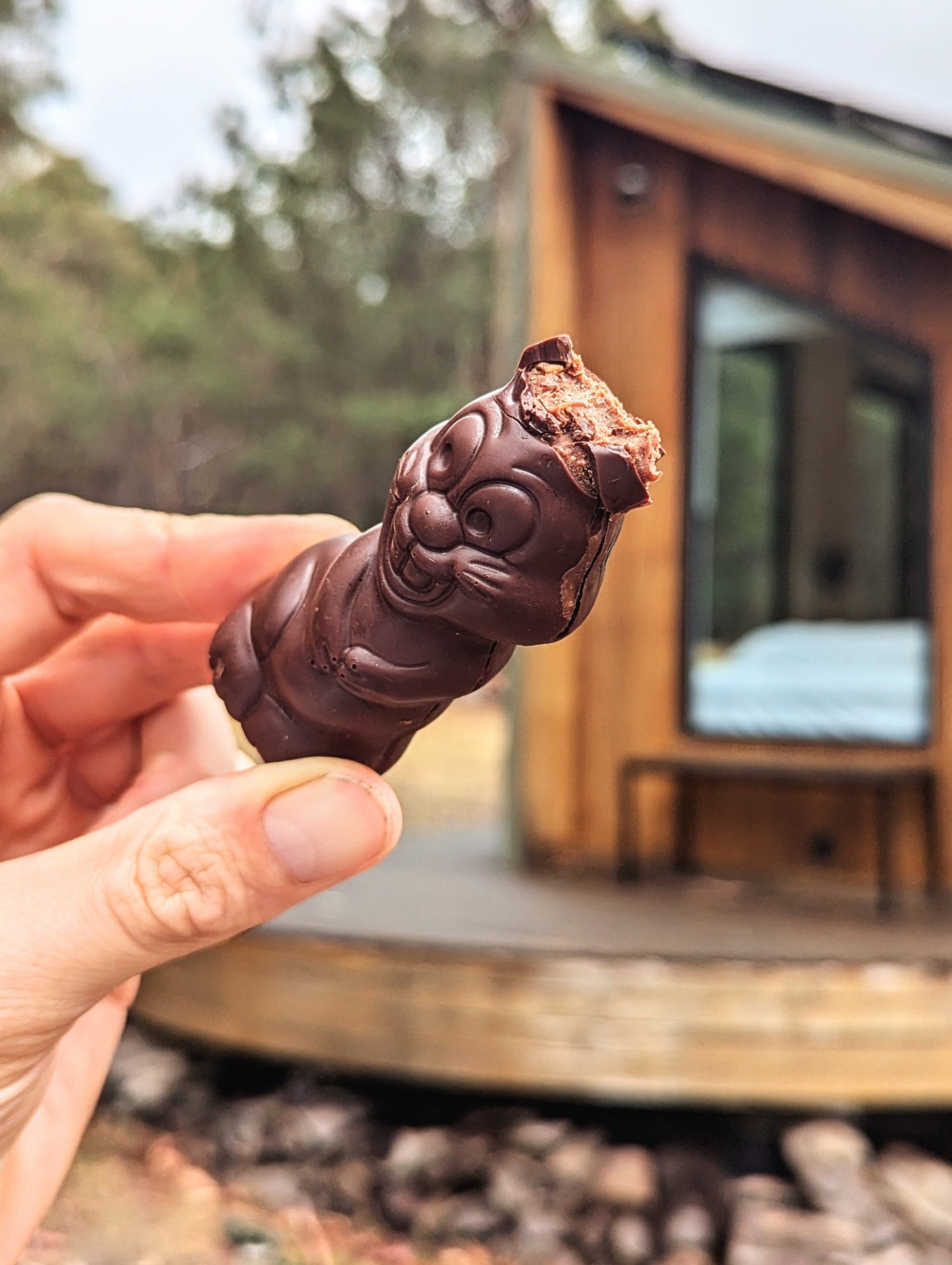 Manuko Easter Collection - (Org. Veg. Gf.)