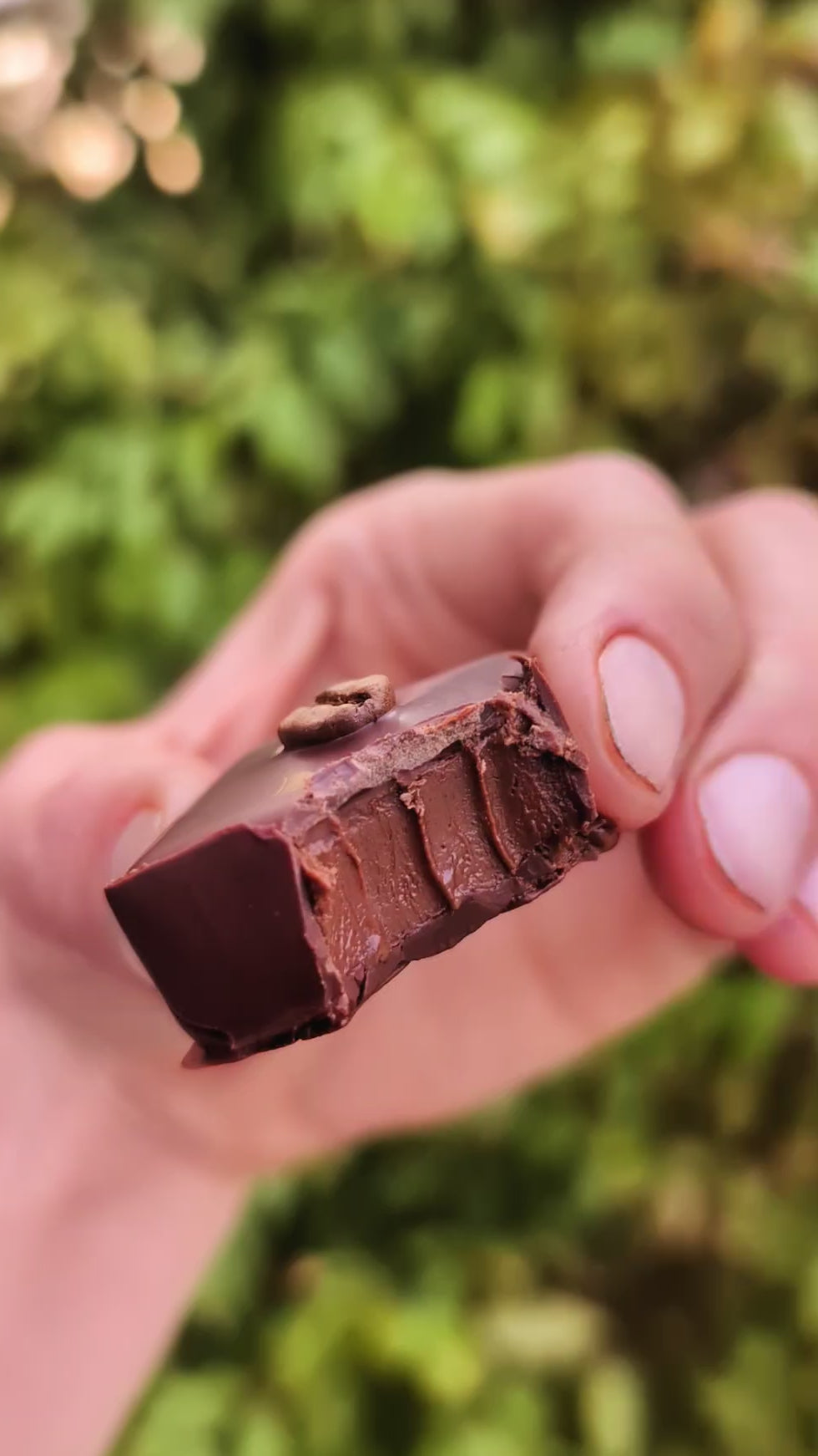 Coffee Crema Chocolates